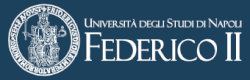 Università di Napoli Federico II