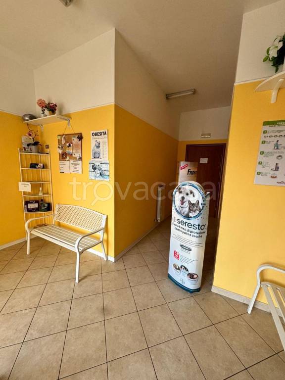 ufficio in affitto ad Avezzano