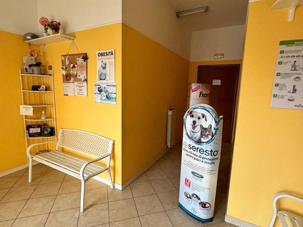 ufficio in affitto ad Avezzano