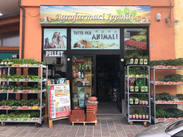 negozio in affitto ad Avezzano