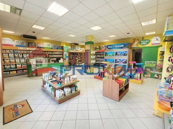 locale commerciale in affitto ad Avezzano