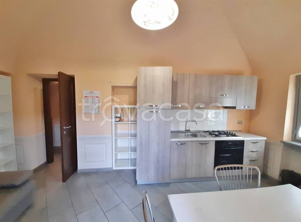 appartamento in affitto a Monastero di Vasco in zona Roapiana