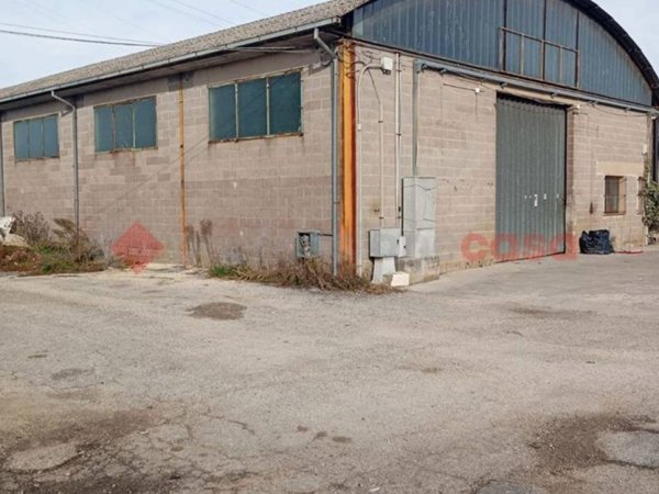 locale commerciale in affitto a Carsoli