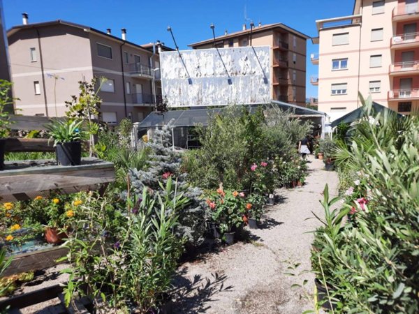 terreno agricolo in affitto a L'Aquila in zona Torrione