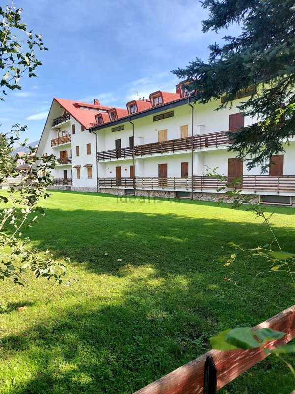 immagine annuncio 0 di 1