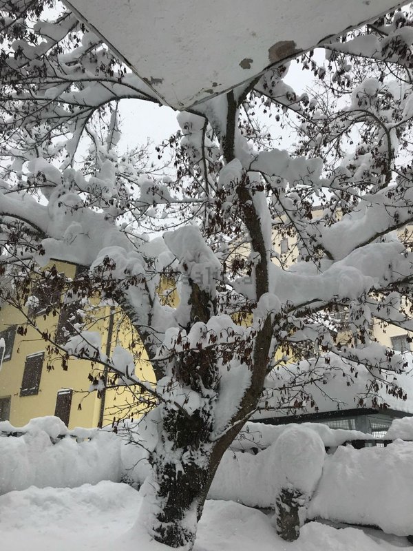 appartamento in affitto a Roccaraso