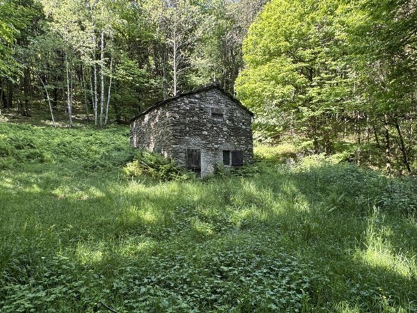 casa indipendente in affitto a Paesana