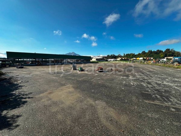 appartamento in affitto a Pianfei