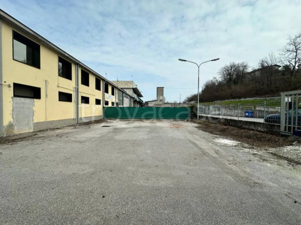 immagine annuncio 0 di 15