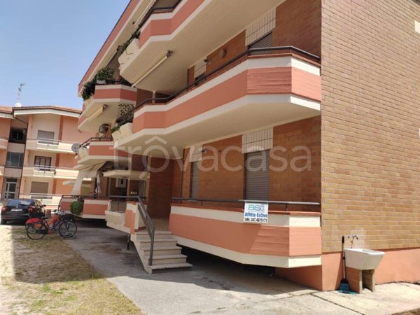 appartamento in affitto ad Alba Adriatica