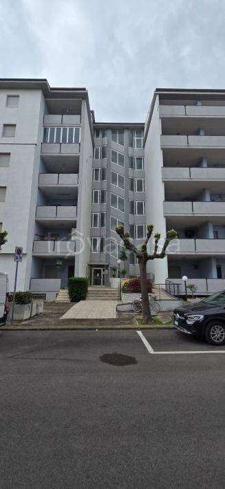 appartamento in affitto ad Alba Adriatica