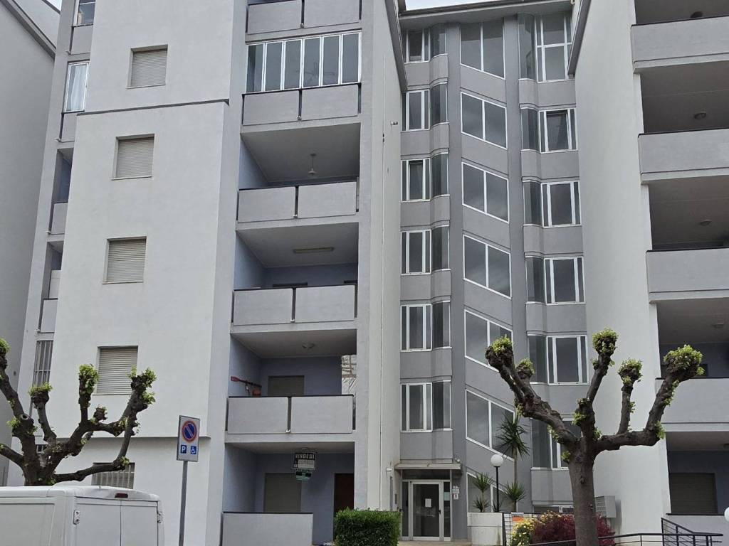 appartamento in affitto ad Alba Adriatica