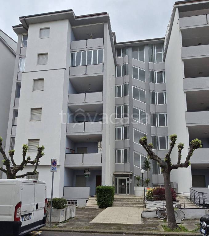 immagine annuncio 0 di 11