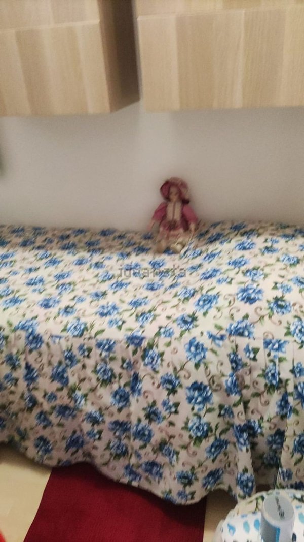 appartamento in affitto ad Alba Adriatica