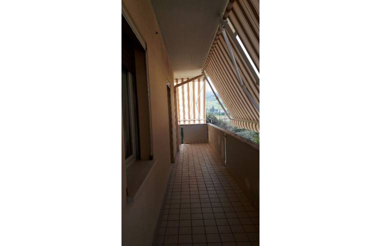 appartamento in affitto ad Alba Adriatica