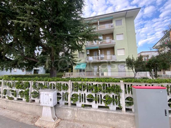 appartamento in affitto ad Alba Adriatica