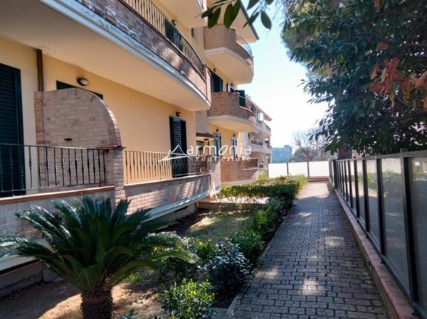 appartamento in affitto a Giulianova
