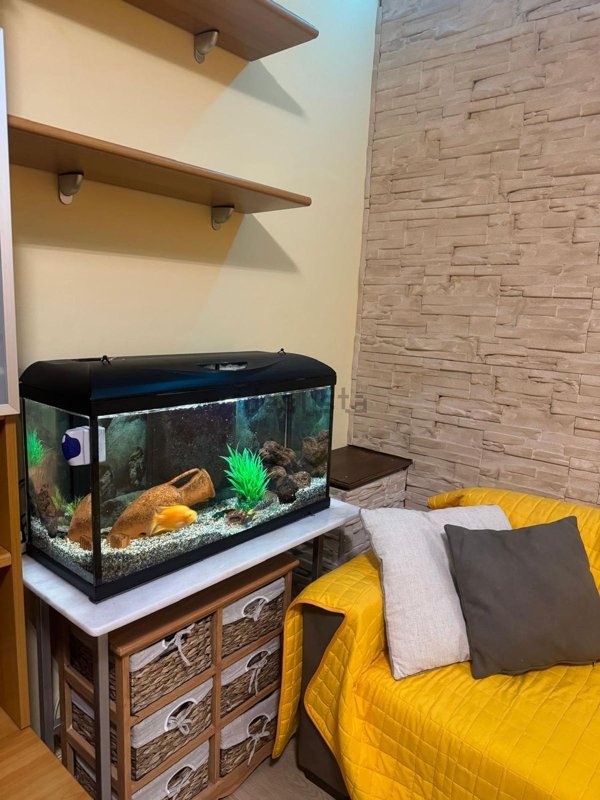 appartamento in affitto a Giulianova