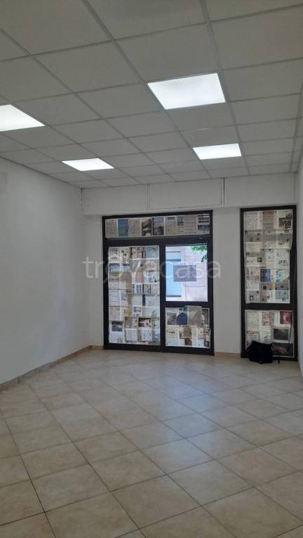 monolocale in affitto a Nereto