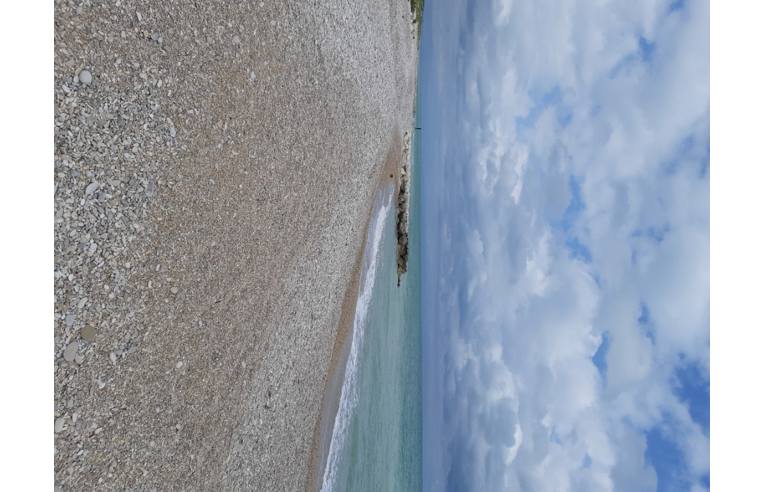 appartamento in affitto a Pineto