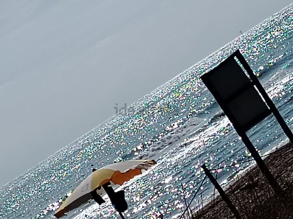 appartamento in affitto a Pineto