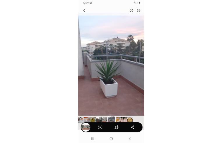 appartamento in affitto a Roseto degli Abruzzi