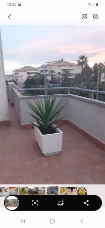 appartamento in affitto a Roseto degli Abruzzi