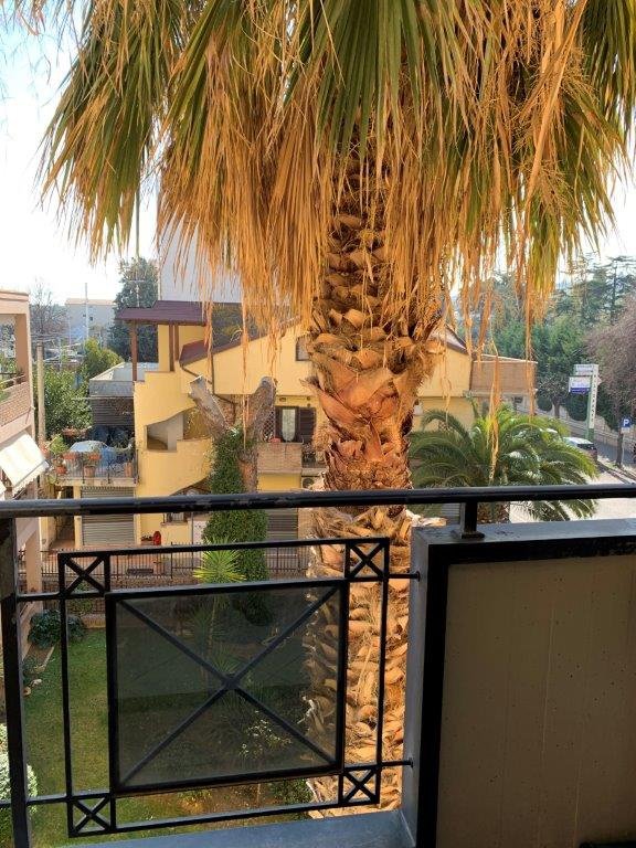 appartamento in affitto a Roseto degli Abruzzi