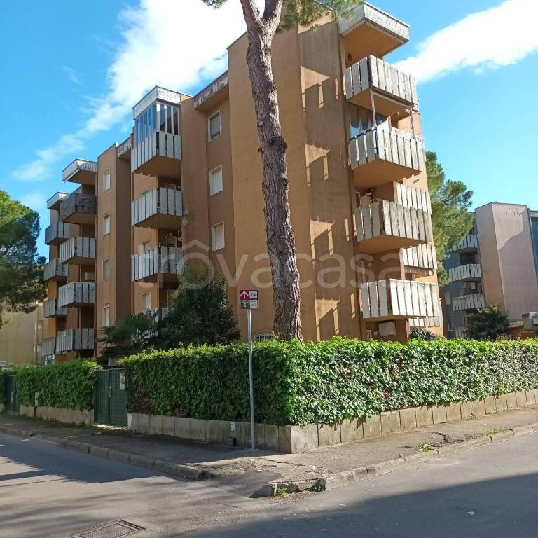 appartamento in affitto a Silvi in zona Silvi Marina