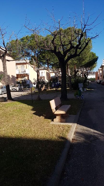 appartamento in affitto a Silvi in zona Silvi Paese