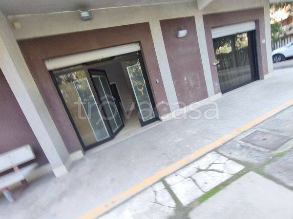 appartamento in affitto a Silvi in zona Silvi Marina