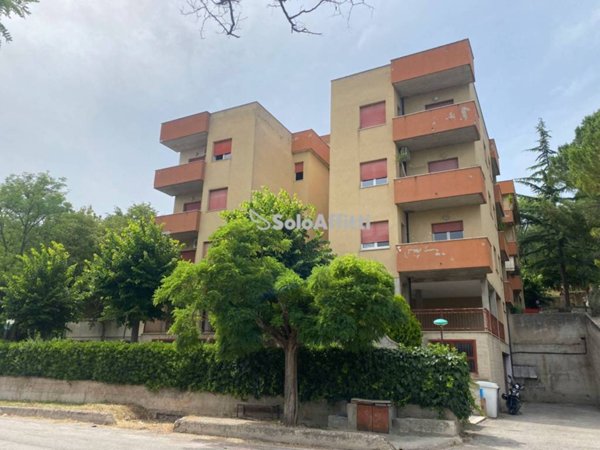 appartamento in affitto a Teramo