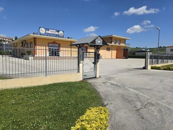 locale commerciale in affitto a Teramo in zona San Nicolò a Tordino