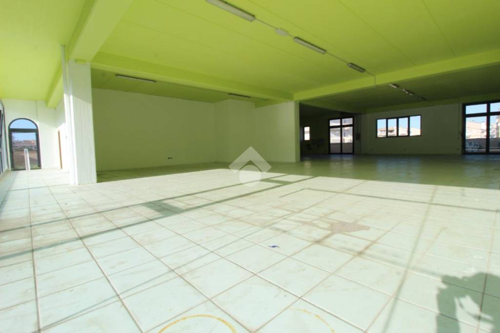 appartamento in affitto a Tortoreto
