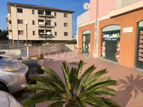 trivano in affitto a Tortoreto