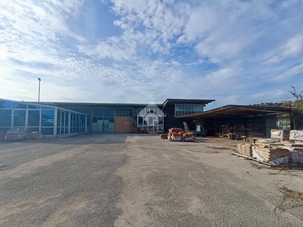 locale commerciale in affitto a Martinsicuro in zona Villa Rosa