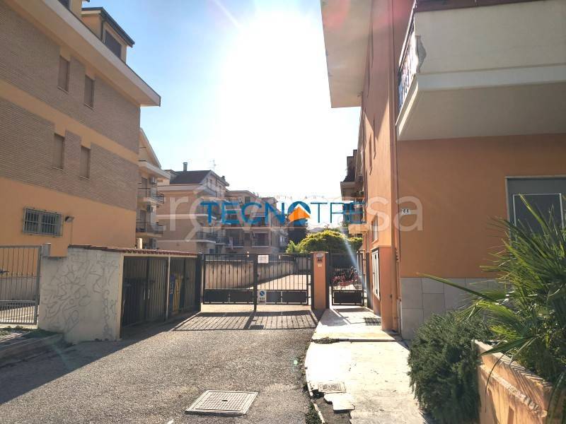 appartamento in affitto a Martinsicuro
