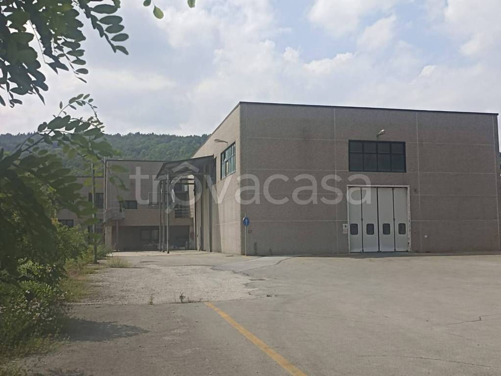 capannone in affitto a Rossana