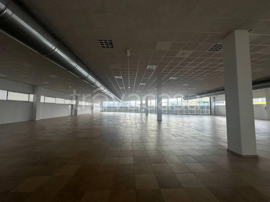negozio in affitto a Savigliano