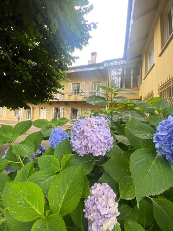 appartamento in affitto a Verzuolo