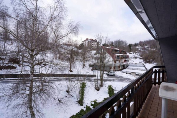 appartamento in affitto a Viola