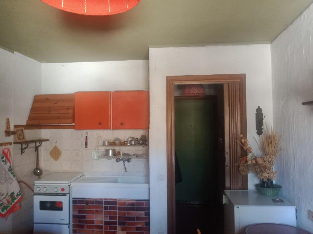 appartamento in affitto a Viola