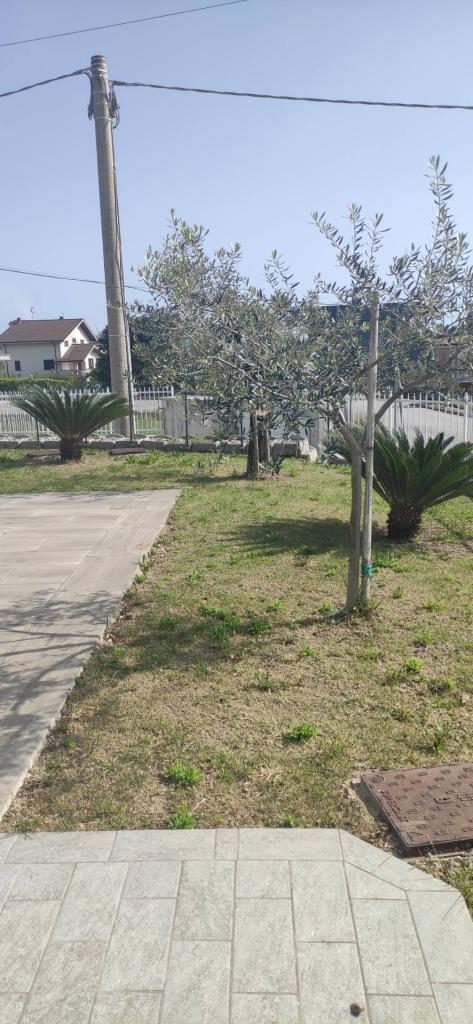 appartamento in affitto ad Alanno