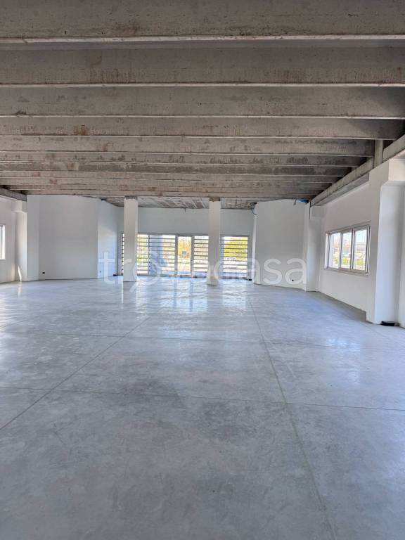 negozio in affitto a Cepagatti in zona Villanova