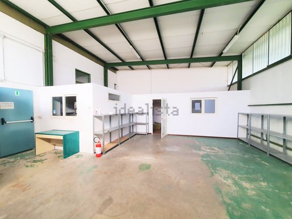 casa semindipendente in affitto a Cepagatti in zona Villanova