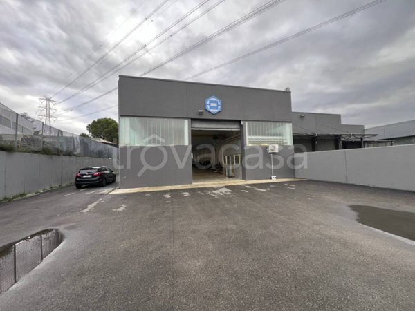 appartamento in affitto a Cepagatti in zona Vallemare