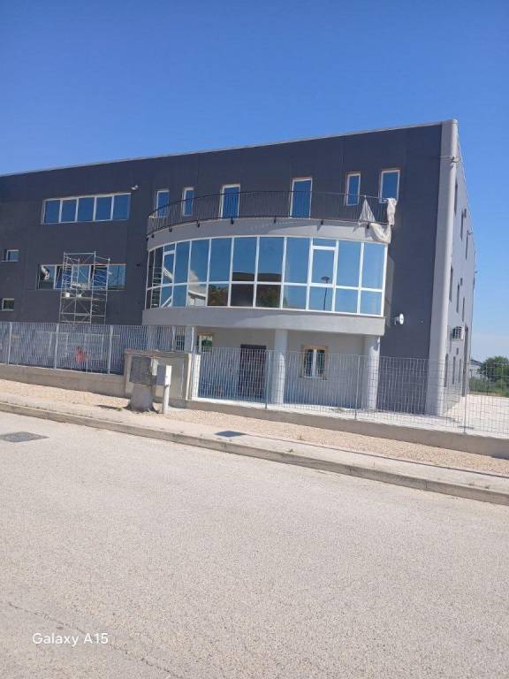 appartamento in affitto a Cepagatti
