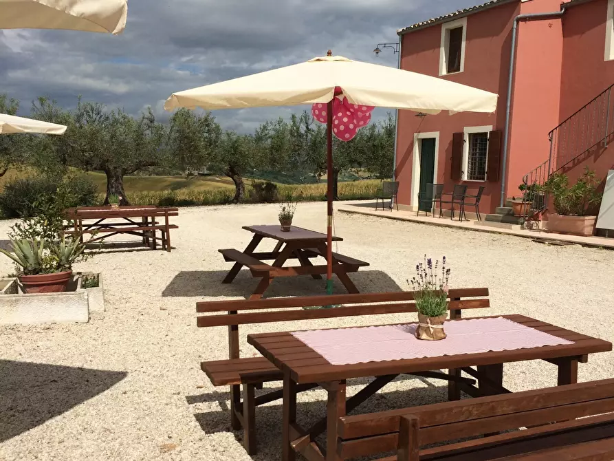 azienda agricola in affitto a Città Sant'Angelo