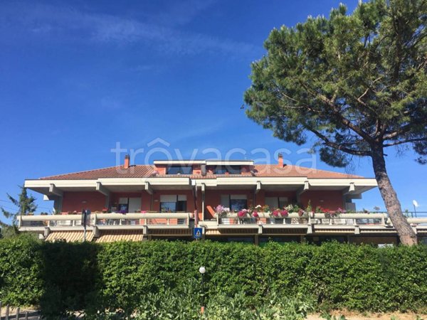 appartamento in affitto a Città Sant'Angelo