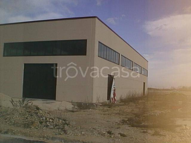 appartamento in affitto a Manoppello